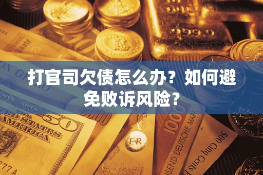 北京打官司欠债怎么办？如何避免败诉风险？