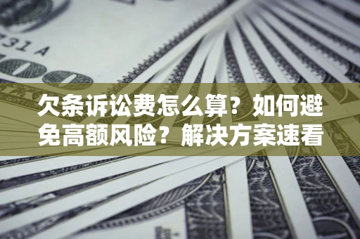 北京欠条诉讼费怎么算？如何避免高额风险？解决方案速看！