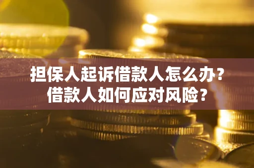 北京担保人起诉借款人怎么办？借款人如何应对风险？